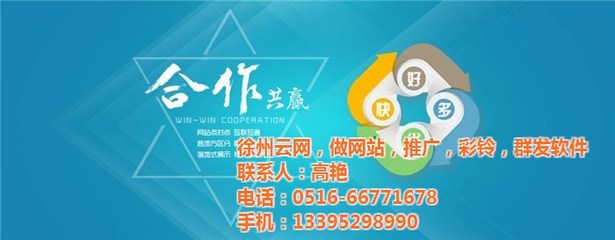 徐州专业做网站的公司|徐州云网(在线咨询)|网站建设