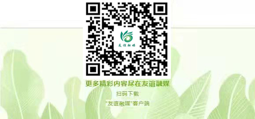 友谊县人民政府门户网站